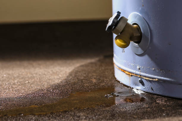Best 24-hour water damage restoration  in Goodland, KS
