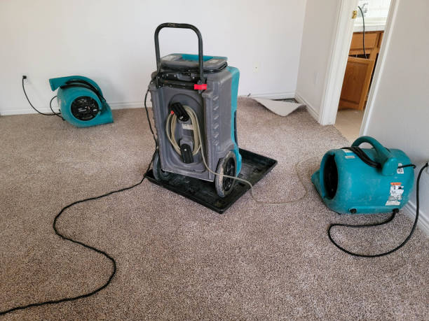 Best 24/7 water damage repair  in Goodland, KS