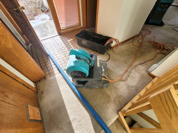Best Water damage restoration experts  in Goodland, KS