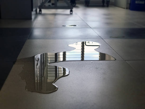 Best Professional water damage repair  in Goodland, KS
