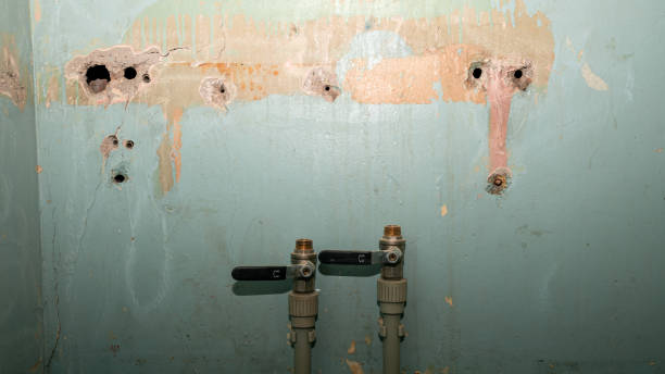 Best Local water damage restoration  in Goodland, KS