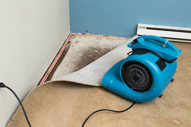 Best Flood damage cleanup  in Goodland, KS